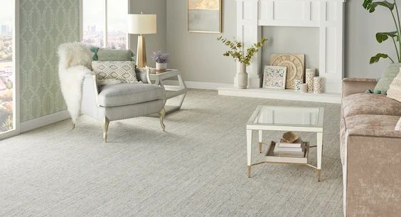 Carpet Flooring in Living Room BB Floor